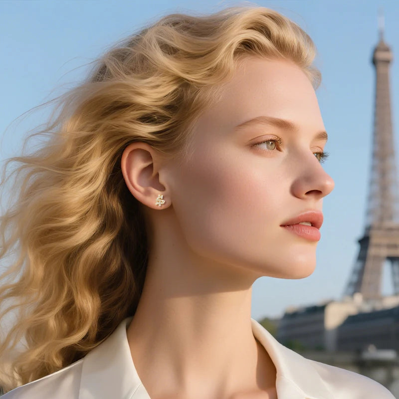 Classic Dollar Moissanite Earring For Women Jewelry Silver 925 Sterling Silver Gold Plated Wedding Jewelry Women Gif